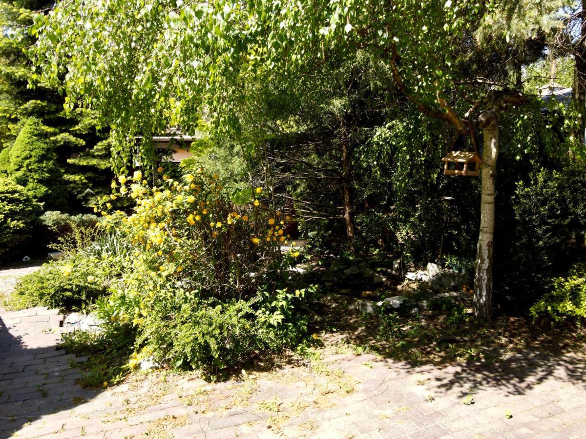 Pokoje Rezydencja Parysa Lublin Extérieur photo
